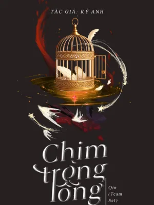 Ảnh bìa của Chim Trong Lồng – Kỷ Anh