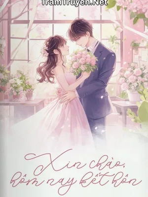 Ảnh bìa của Xin Chào, Hôm Nay Kết Hôn
