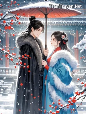 Ảnh bìa của Lục Chiêu Ý