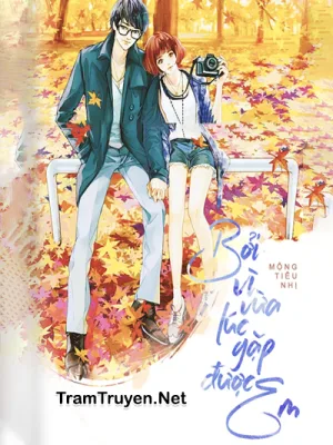 Ảnh bìa của Bởi Vì Đúng Lúc Gặp Được Em