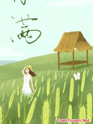 Ảnh bìa của Công Chúa Giả Livestream Làm Ruộng