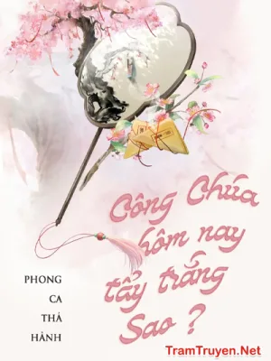 Ảnh bìa của Công Chúa Hôm Nay Tẩy Trắng Sao