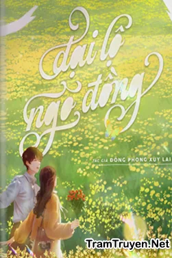 Ảnh bìa của Đại Lộ Ngô Đồng – Đông Phong Xuy Lai