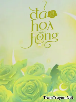 Ảnh bìa của Đảo Hoa Hồng – Tống Xuân Hoà