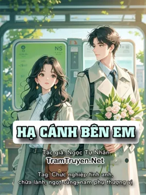 Ảnh bìa của Hạ Cánh Bên Em – Ngọc Tự Nhân