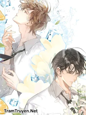 Ảnh bìa của Sau Khi Sống Lại Liên Hôn Với Chú Của Nam Chính