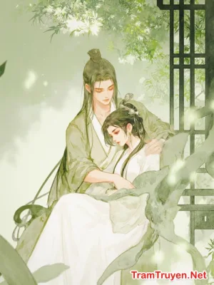 Ảnh bìa của Sau Khi Ta Giả Chết, Phu Quân Hối Hận Rồi