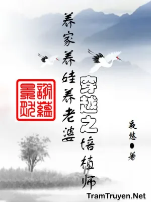 Ảnh bìa của Xuyên Việt Chi Bồi Thực Sư