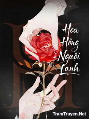 Ảnh bìa của Hoa Hồng Nguội Lạnh – Cô Ấy Vừa Đi Vừa Hát