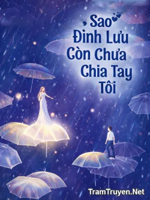 Ảnh bìa của Sao Đỉnh Lưu Chưa Chia Tay Tôi
