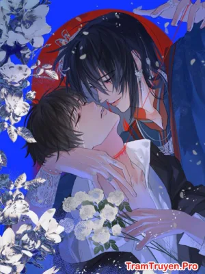 Ảnh bìa của Góc Nhìn Thứ Tư – Mạc Thần Hoan