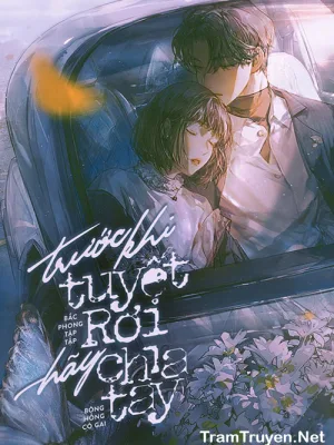 Ảnh bìa của Trước Khi Tuyết Rơi Hãy Chia Tay