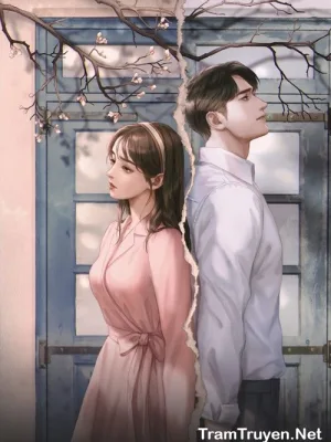 Ảnh bìa của Vết Nứt Con Tim – Ninh Thi