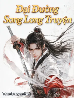Ảnh bìa của Đại Đường Song Long Truyện