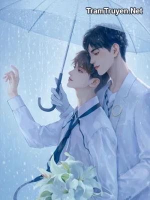 Ảnh bìa của Sau Khi Giải Nghệ, Tôi Trở Thành Thiếu Gia Nhà Giàu Đích Thực